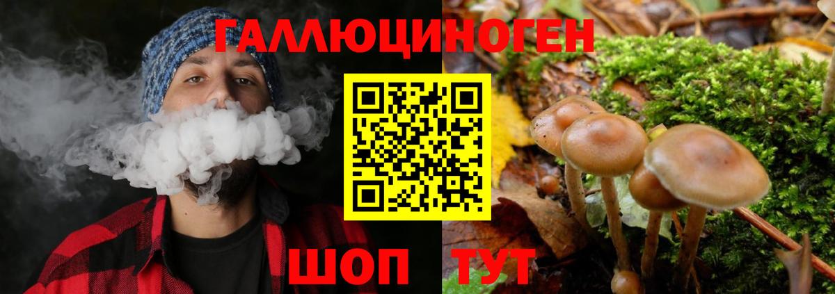 Галлюциногенные грибы GOLDEN TEACHER  Галлюциногенные грибы MAGIC MUSHROOMS  Вход с VPN  Гусев 